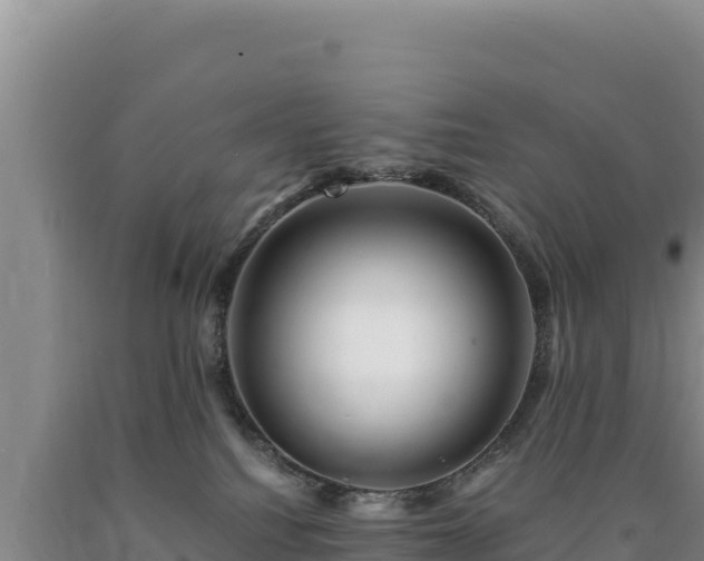 X0000090720088200707271201