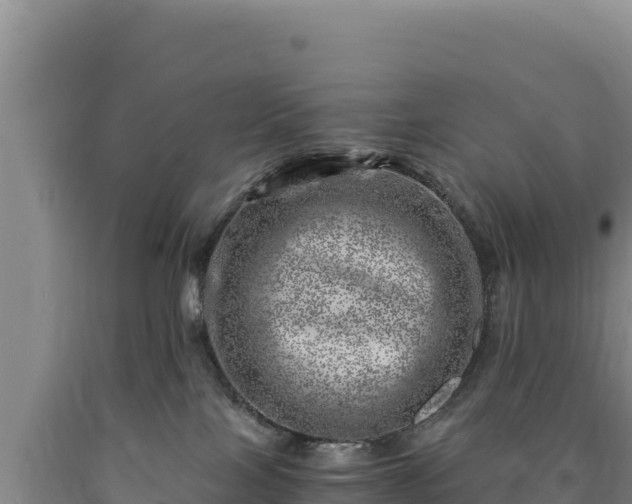 X0000090720089200707271201