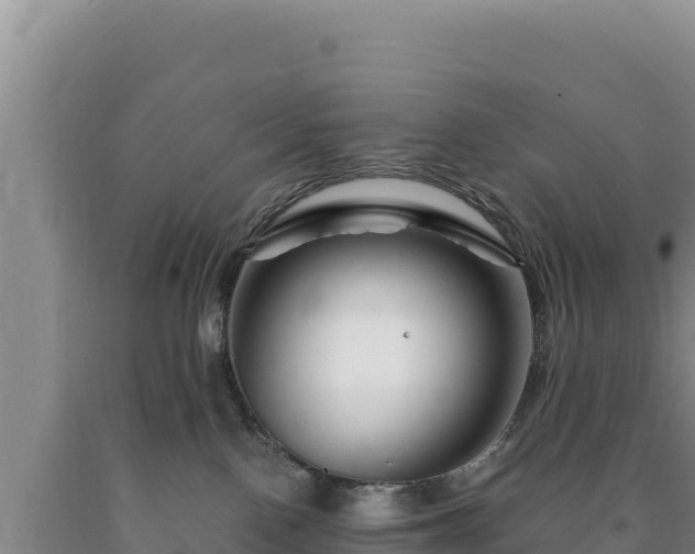 X0000090720090200707271201