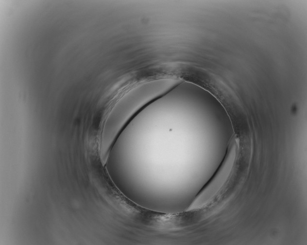 X0000090720092200707271201