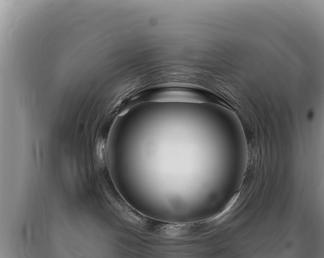 X0000090720094200707271201
