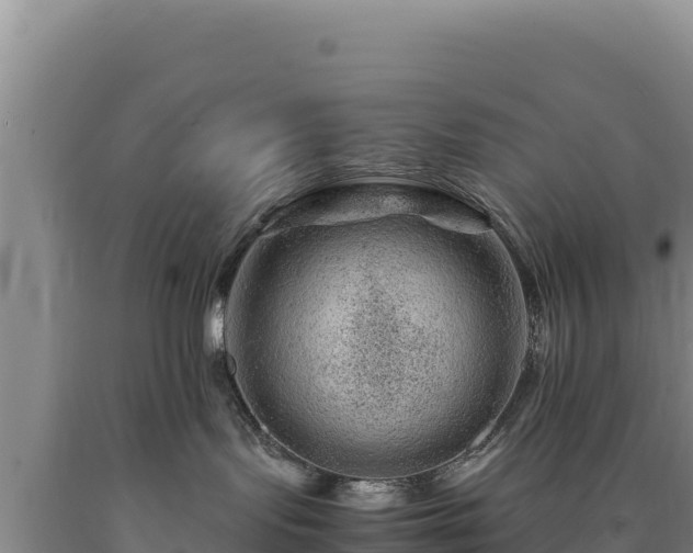 X0000090720095200707271201