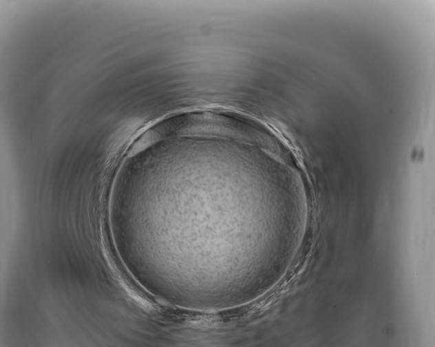 X0000090720097200707271201