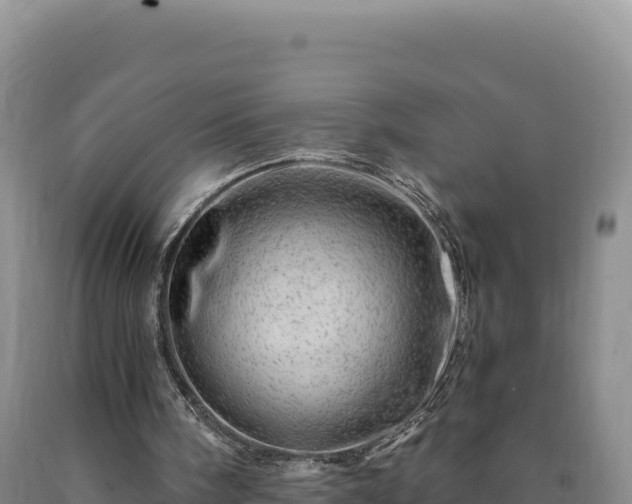 X0000090720098200707271201