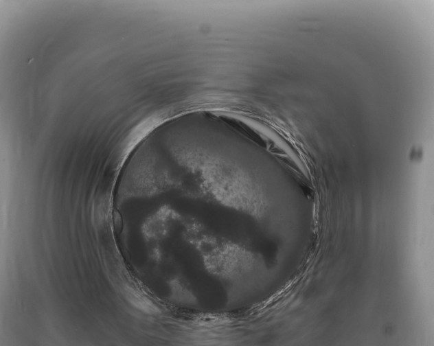 X0000090720099200707271201
