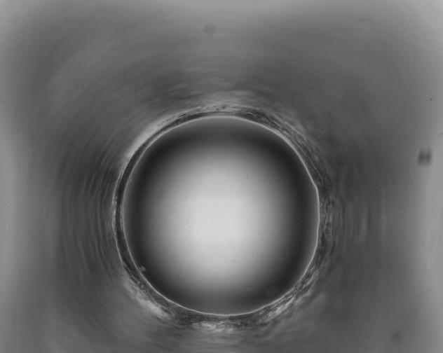 X0000090720100200707271201