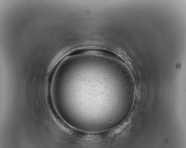X0000090720101200707271201