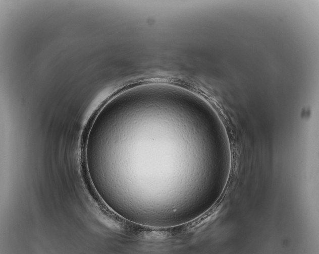 X0000090720102200707271201