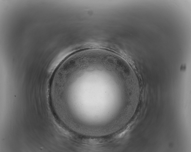 X0000090720103200707271201
