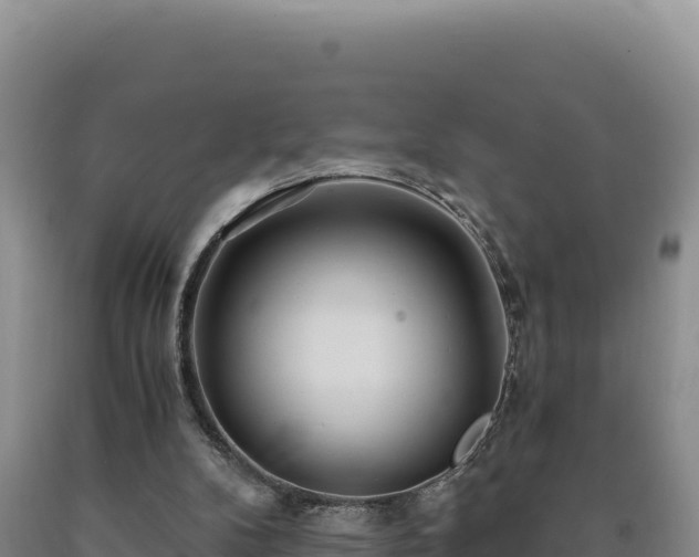X0000090720104200707271201