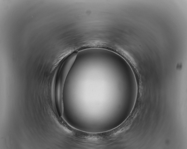 X0000090720105200707271201