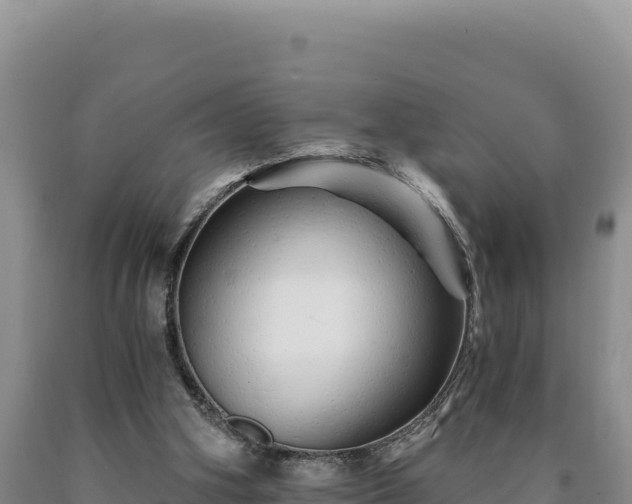 X0000090720106200707271201