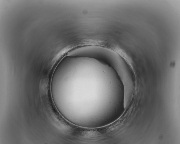 X0000090720107200707271201