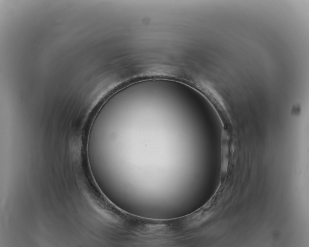 X0000090720108200707271201