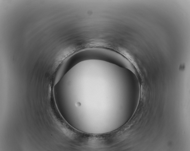 X0000090720109200707271201