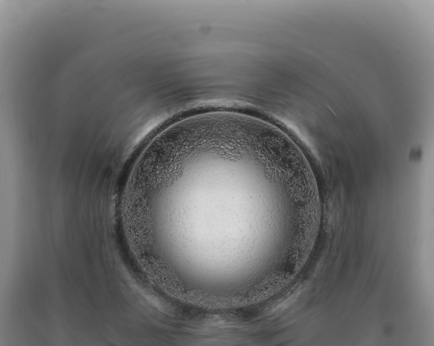 X0000090720111200707271200
