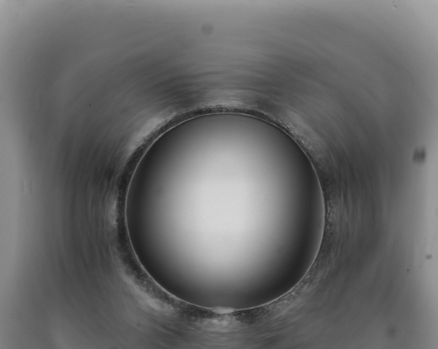X0000090720112200707271200