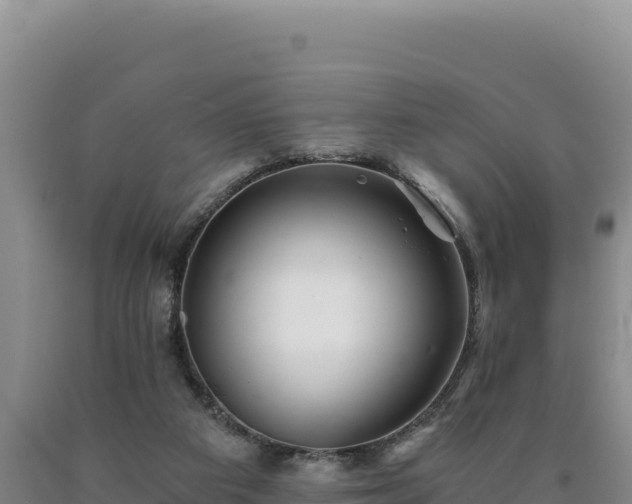 X0000090720113200707271200