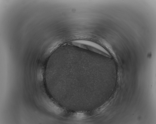 X0000090720114200707271200