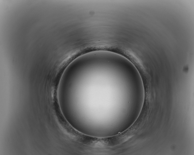 X0000090720115200707271200