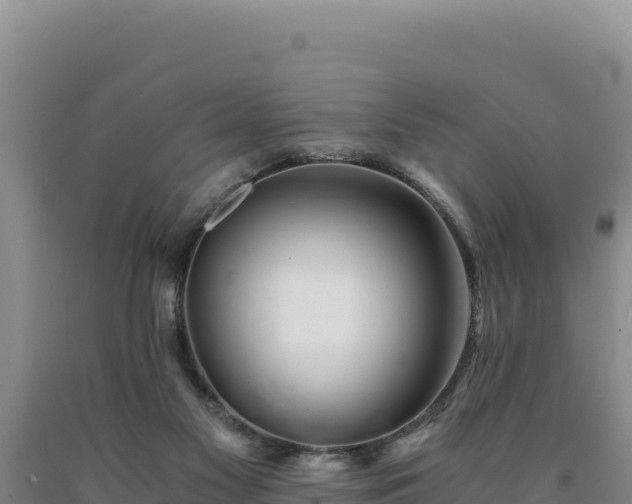 X0000090720117200707271200