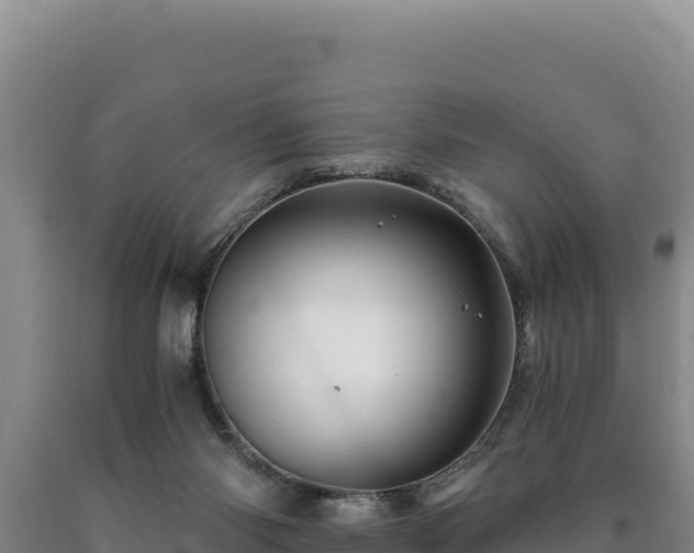 X0000090720118200707271200
