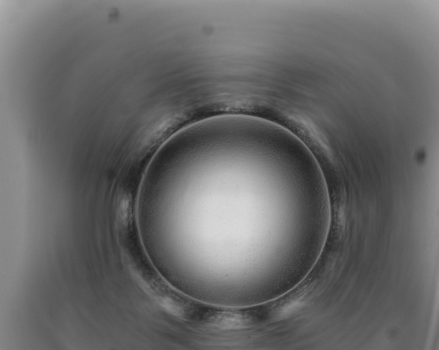X0000090720123200707271200