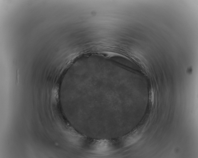 X0000090720127200707271200