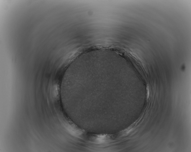 X0000090720130200707271200