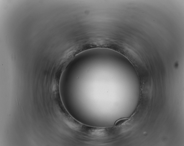 X0000090720132200707271200