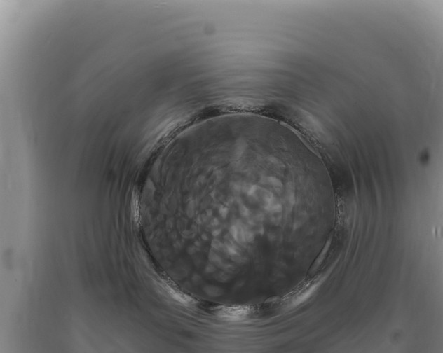 X0000090720143200707271200