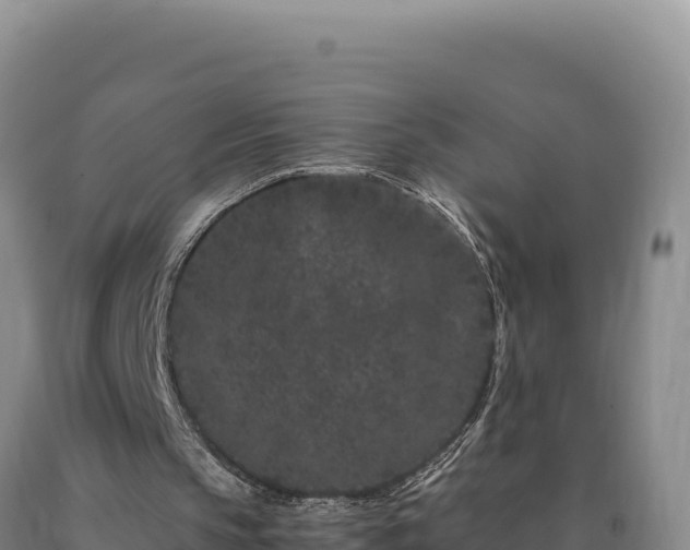 X0000090720145200707271159