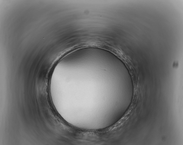 X0000090720146200707271159