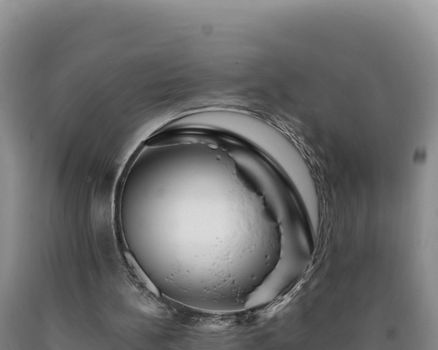 X0000090720148200707271200