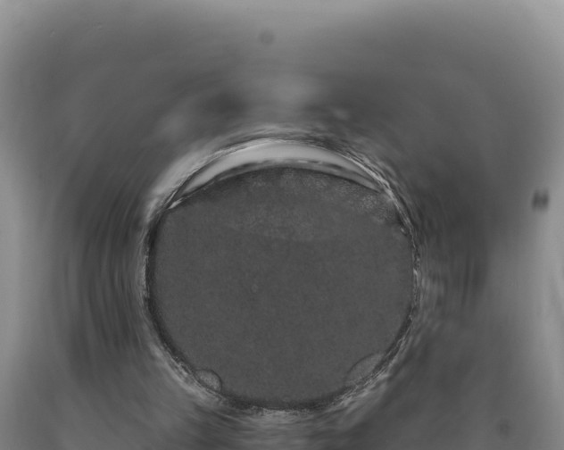 X0000090720149200707271200