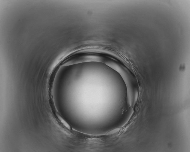 X0000090720150200707271200