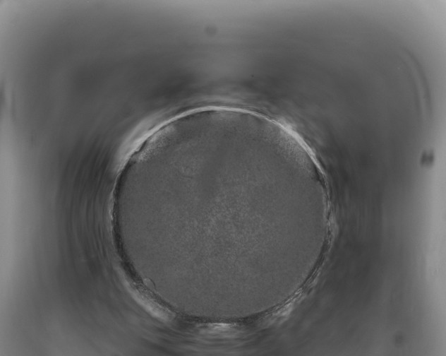 X0000090720151200707271200