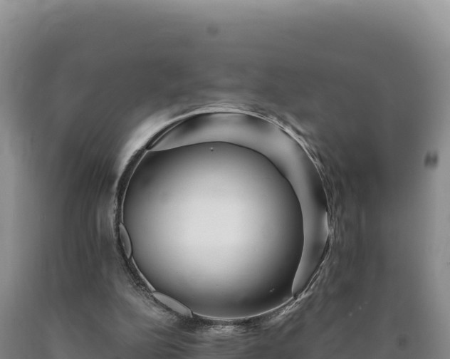 X0000090720152200707271200