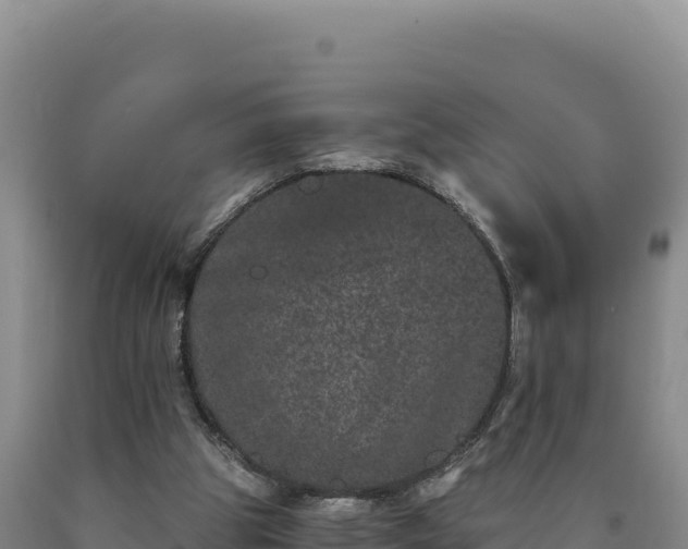 X0000090720153200707271200