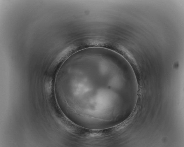 X0000090720163200707271200