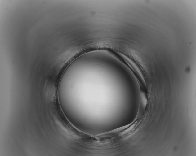 X0000090720164200707271200