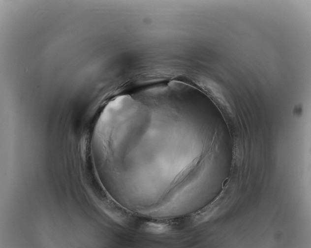 X0000090720167200707271200