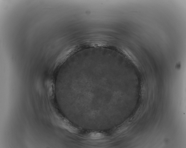 X0000090720169200707271200