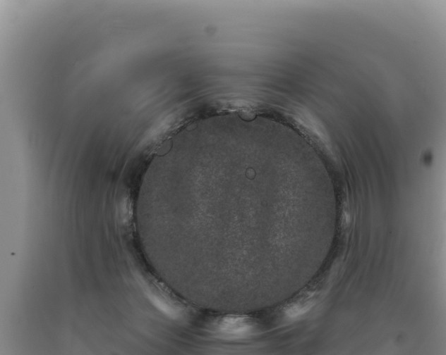 X0000090720173200707271200