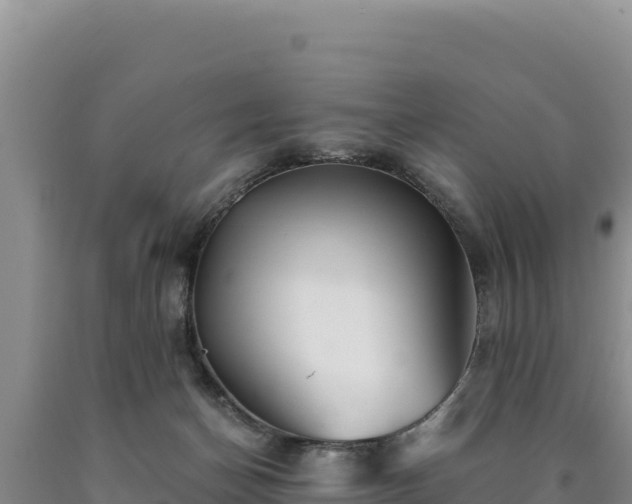 X0000090720174200707271200