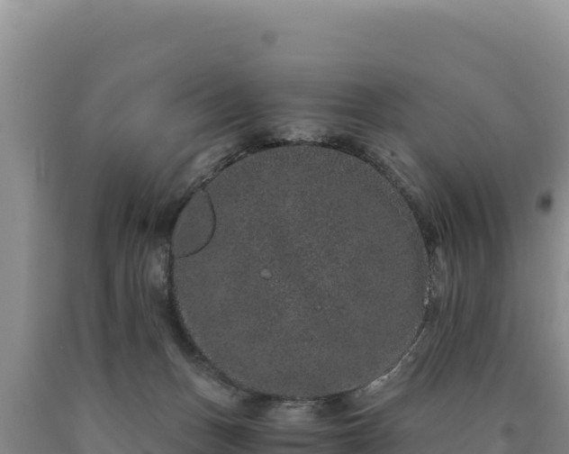 X0000090720175200707271200
