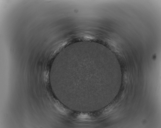 X0000090720177200707271200