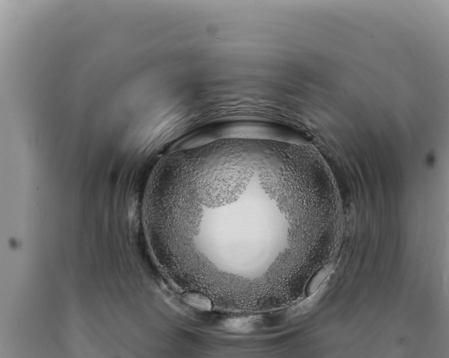 X0000090720178200707271200