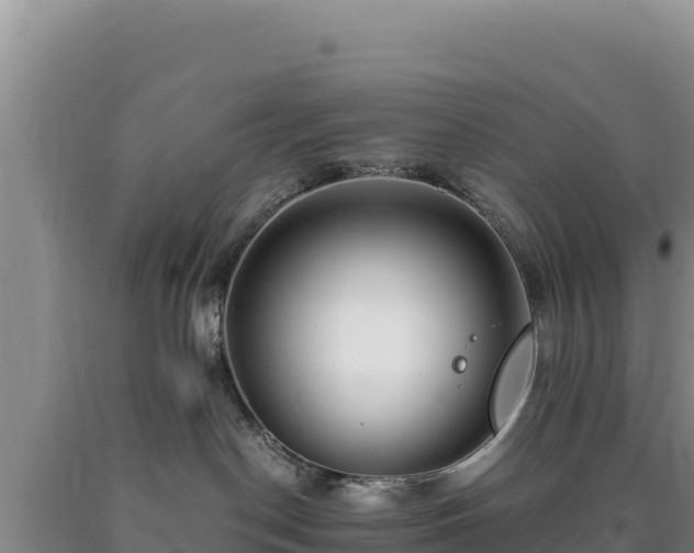 X0000090720190200707271200