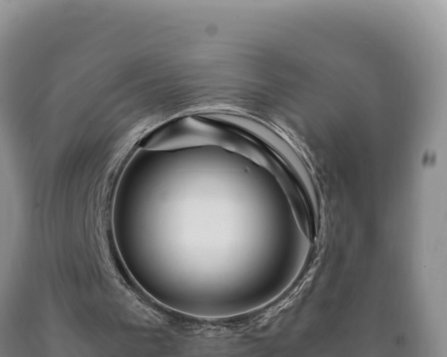 X0000090720193200707271159